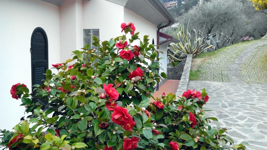 Villa Il Pettirosso Ла-Спеція Номер фото